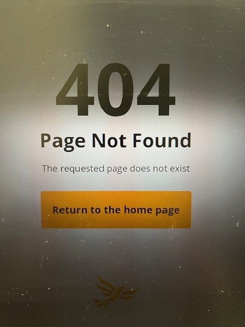 page not found